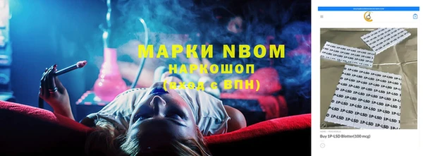 PSILOCYBIN Абдулино