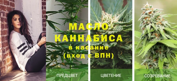 PSILOCYBIN Абдулино