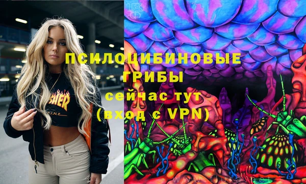 тгк Абаза