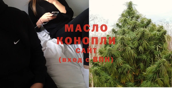 тгк Абаза