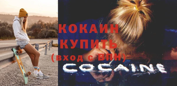 стаф Алексин
