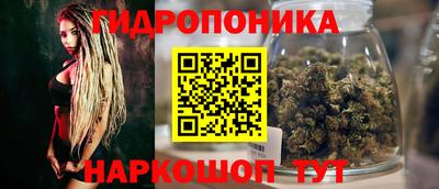 прущие грибы Ефремов