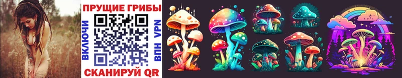мега ссылки  дарнет шоп  Истра  Псилоцибиновые грибы MAGIC MUSHROOMS 